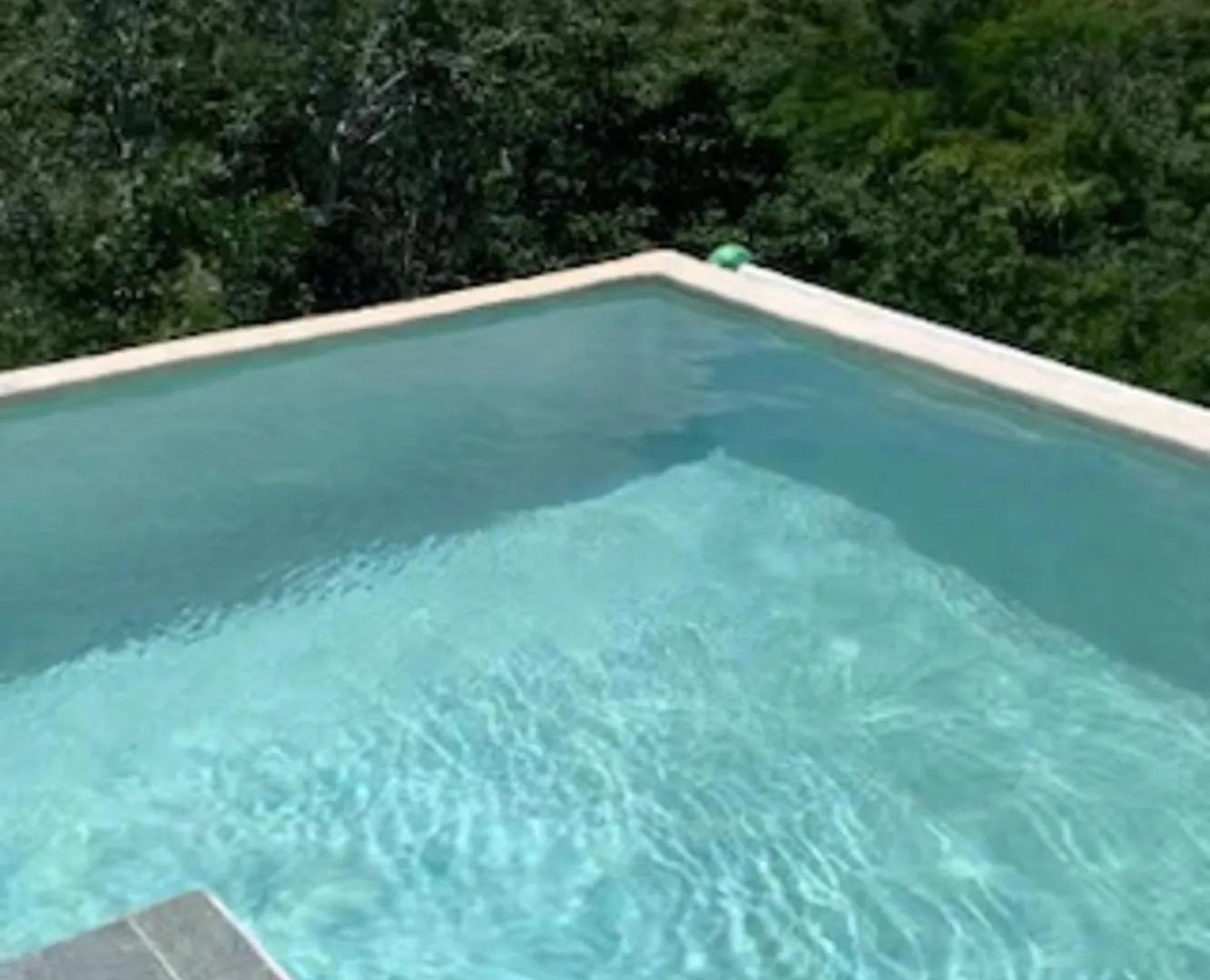 Apartment Studio With Swimming Pool At 12 M Height Over Jungle Chemuyil