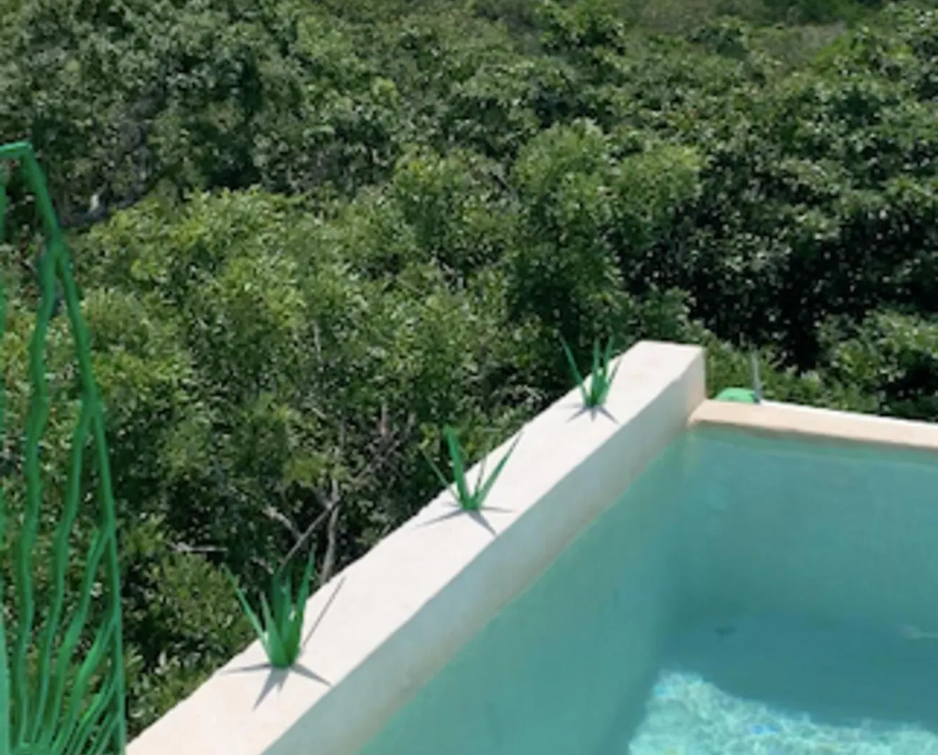 Apartment Studio With Swimming Pool At 12 M Height Over Jungle Chemuyil Mexico